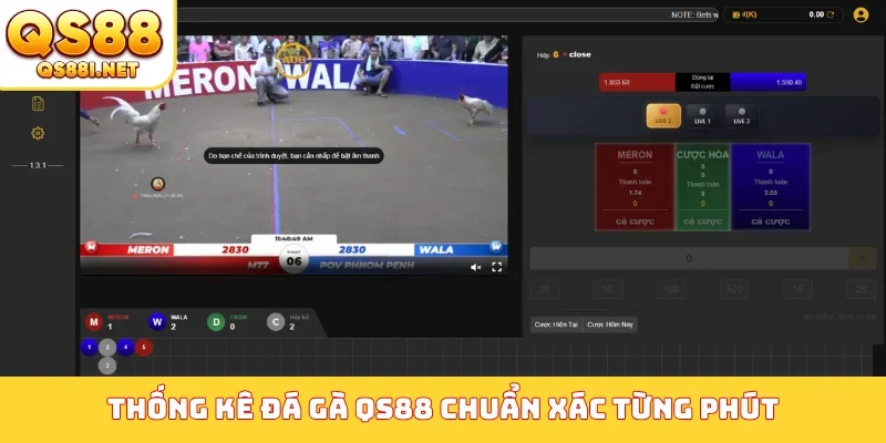 Thống kê đá gà QS88 chuẩn xác từng phút